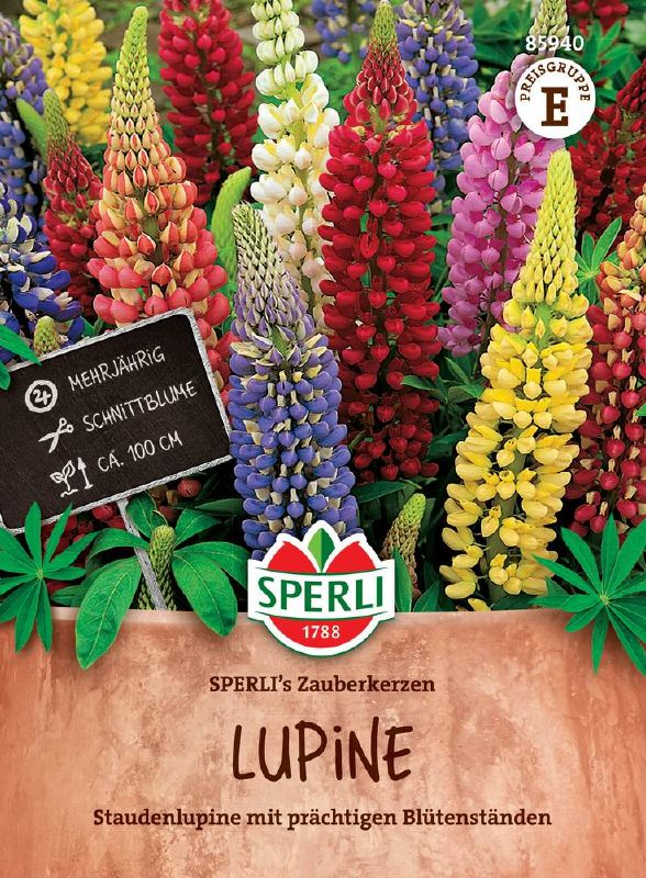 Lupinus Sperli's Zauberkerzen