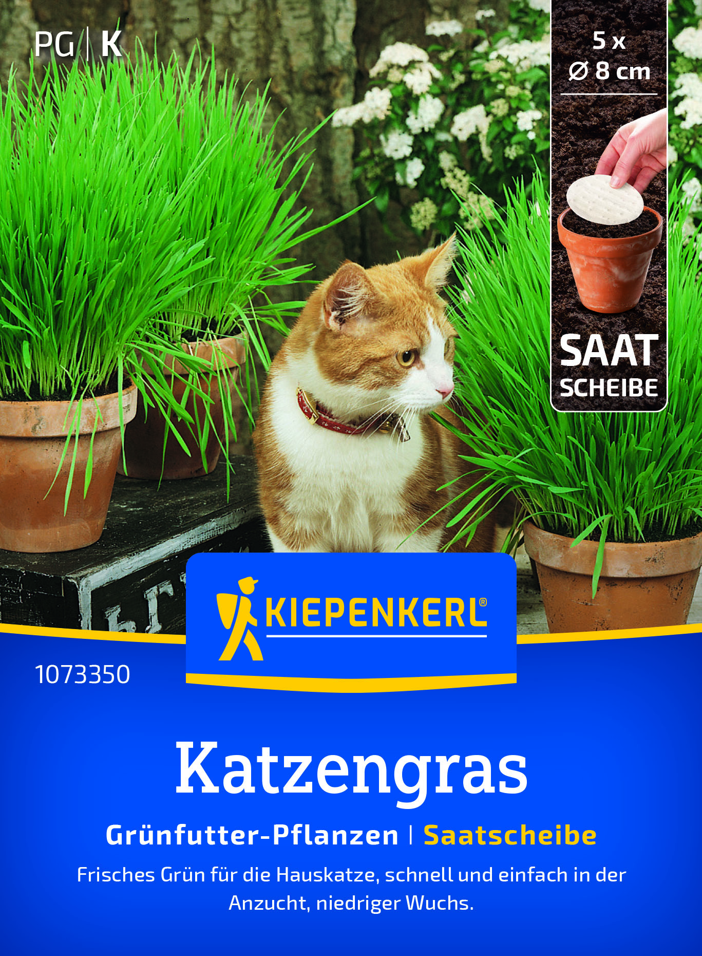 Saatscheibe Katzengras