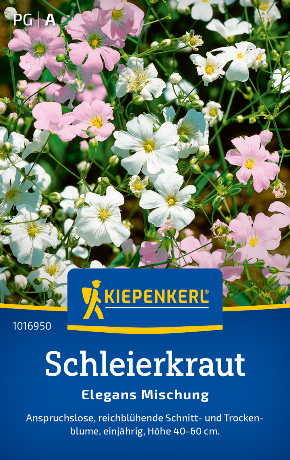 Schleierkraut bunte mix