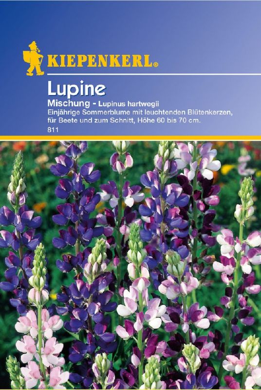Lupinus hartwegii, Mischung
