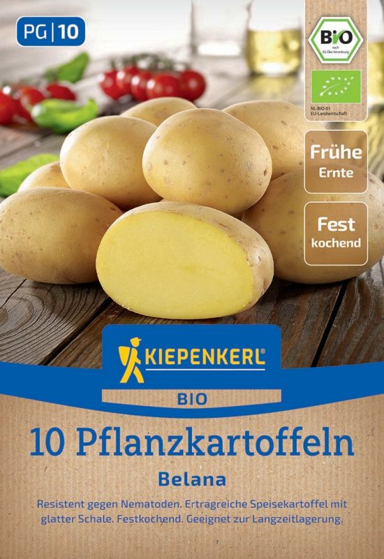 Pflanzkartoffel Belana Bio
