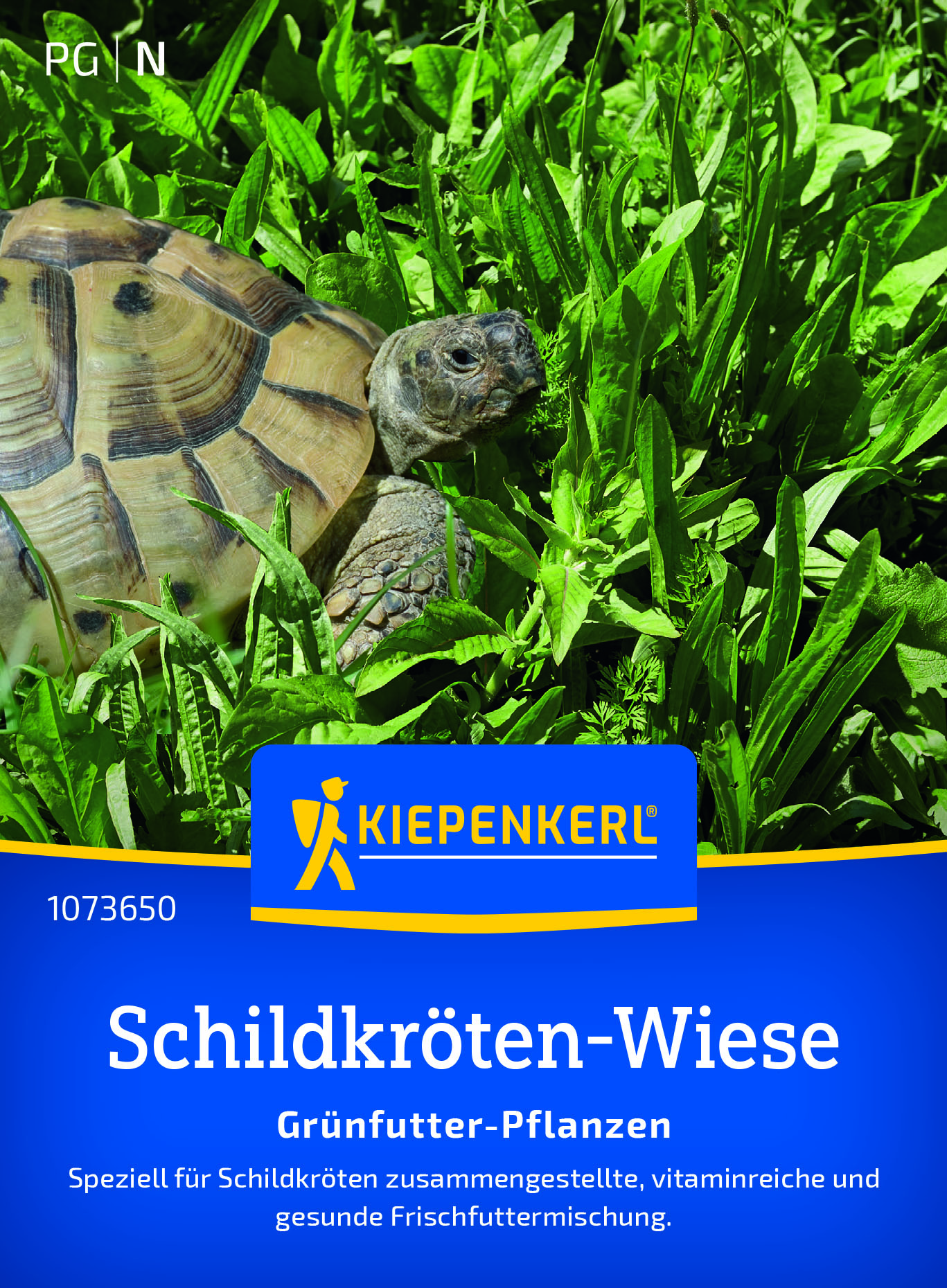 Schildkrötenmischung