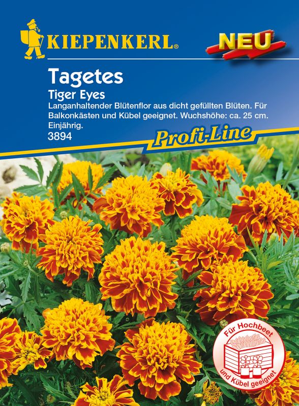 Tagetes patula Tiger Eyes