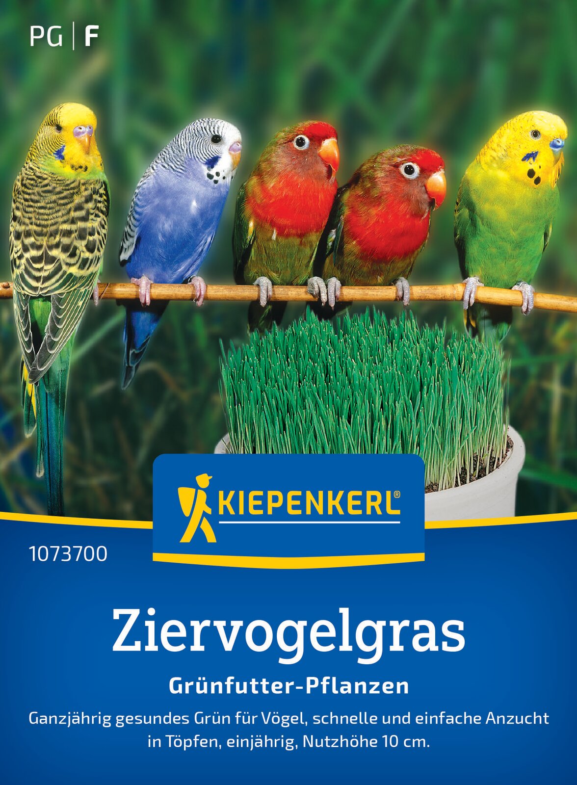 Ziervogelgras
