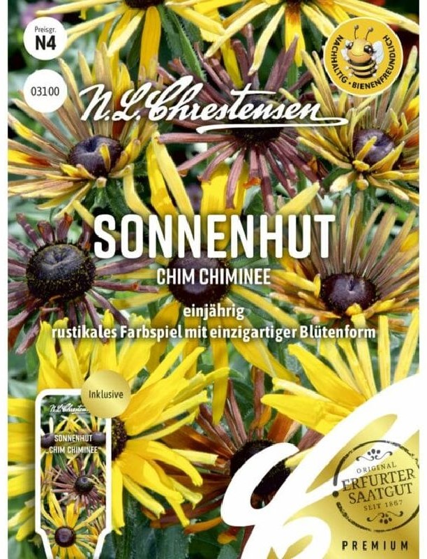 Rudbeckia Chim Chiminee