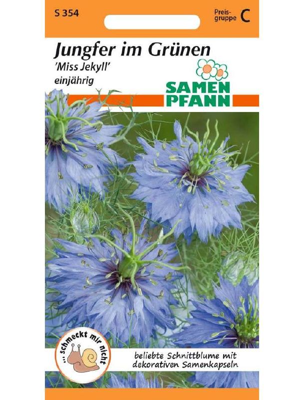 Jungfer-im-Grünen Miss Jekyll
