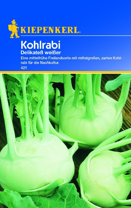 Kohlrabi Delikatess weisser Freiland