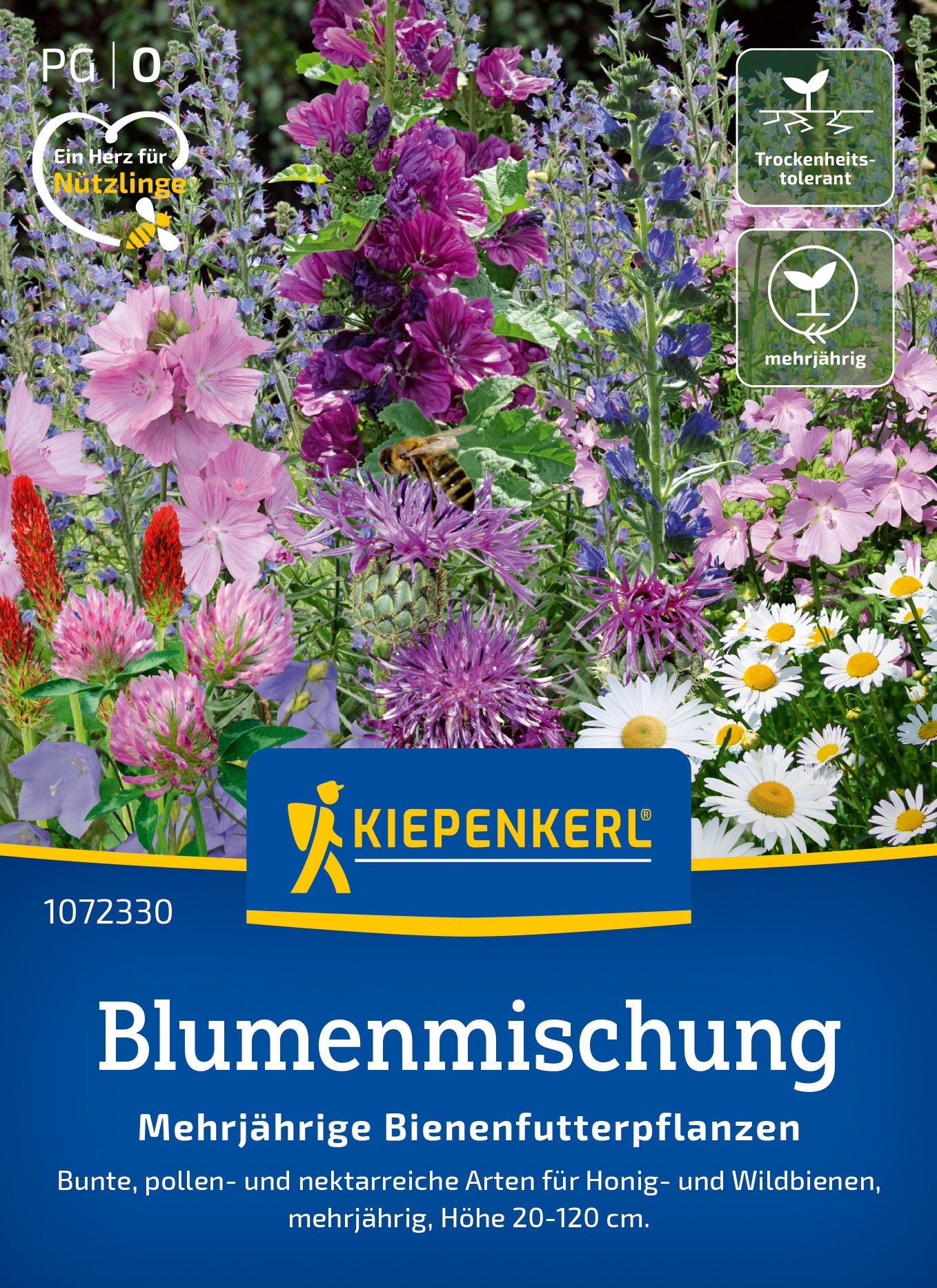 Blumenmischung Bienenfutterpflanzen