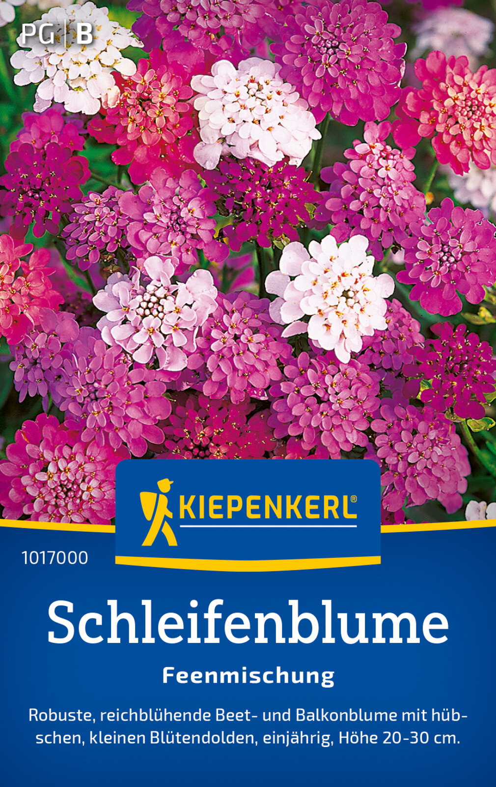 Feenblume Mischung