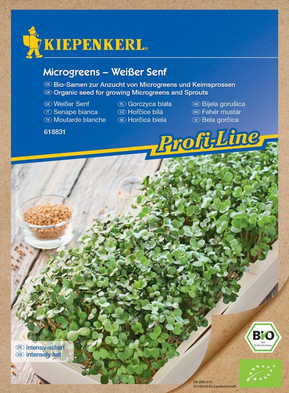Keimsprossen Weißer Senf - Produktbild 1