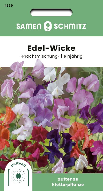 Lathyrus Royal Riesen Prachtmischung