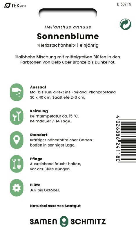 Helianthus intern. Herbstschönheit - Produktbild 2