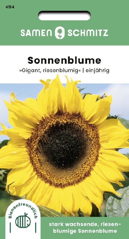 Helianthus annuus riesenblumige
