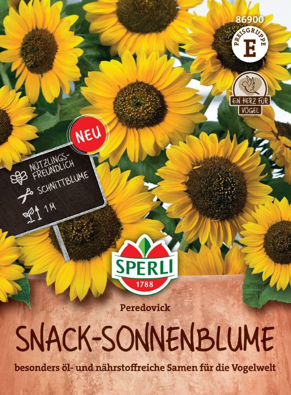 Helianthus Snack-Sonnenblume Peredovick