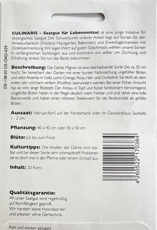 Bio Dahlie Mignon - Produktbild 2