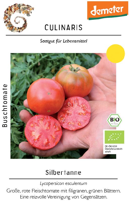 Bio Tomate Busch Silbertanne