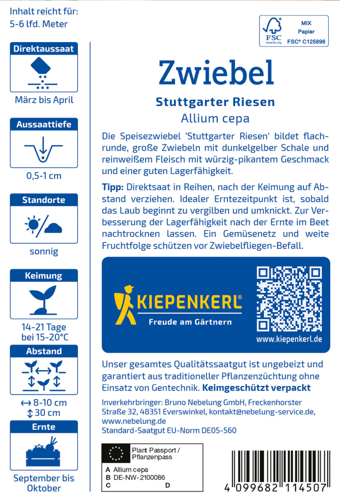 Zwiebel, Stuttgarter Riesen - Produktbild 2