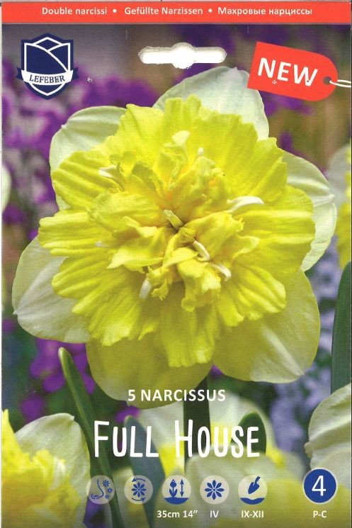 Gefüllte Narzisse ‘Full House’