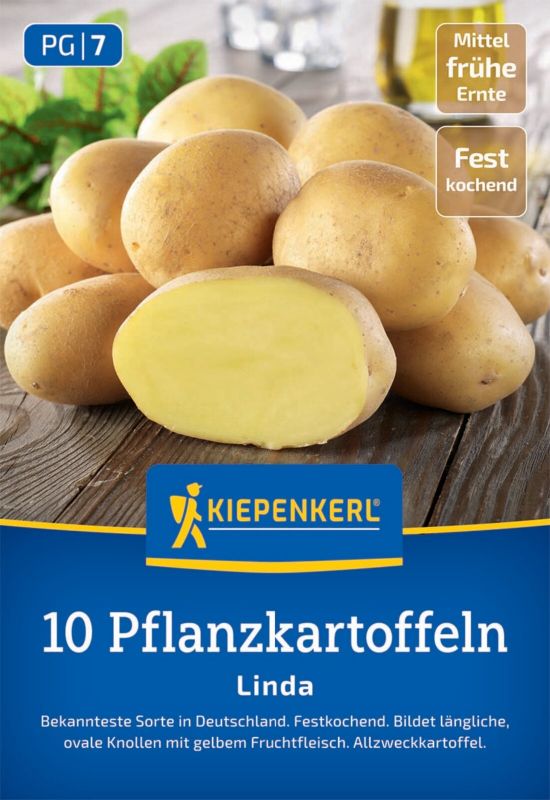 Pflanzkartoffel Linda