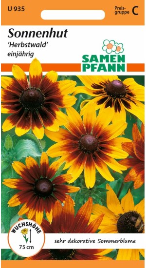 Rudbeckia Herbstwald