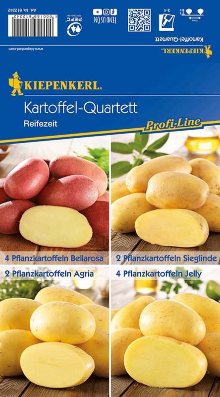 Pflanzkartoffel Quartet Reifezeit