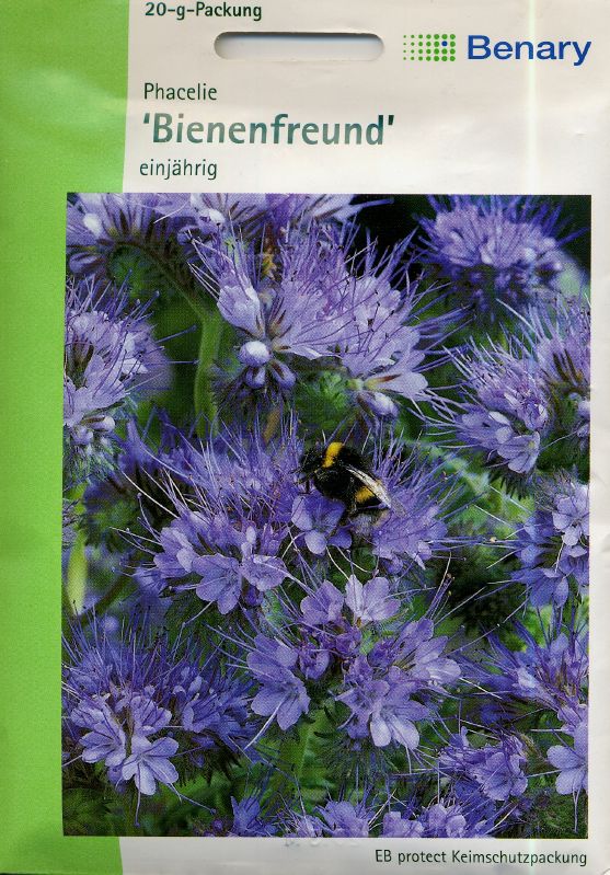 Phacelia tanacetifolia, Bienenfreund