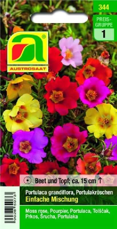 Portulaca grdfl. einfache Mischung