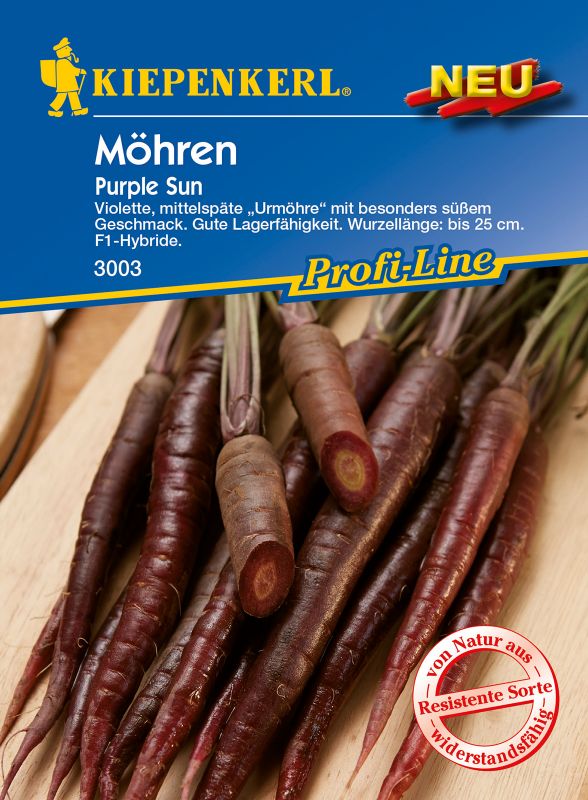 Möhren Purple Sun