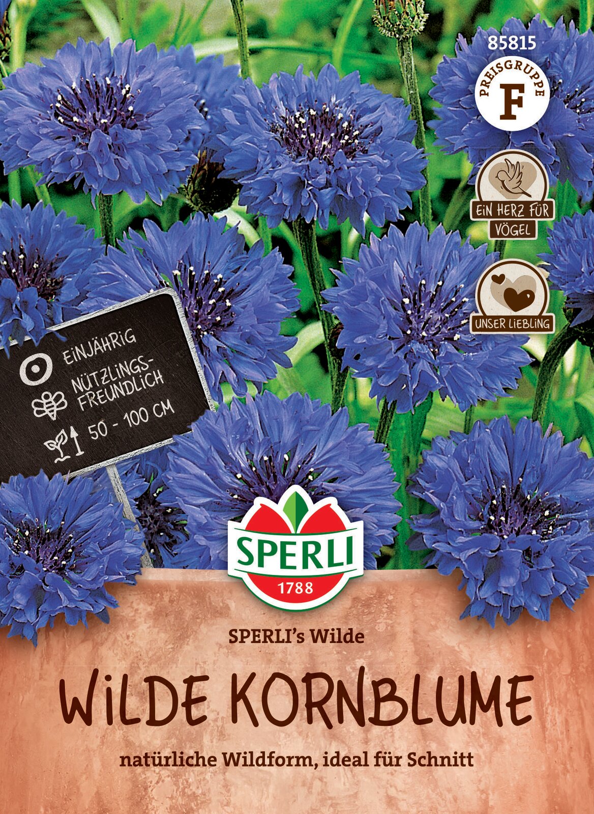 Kornblume