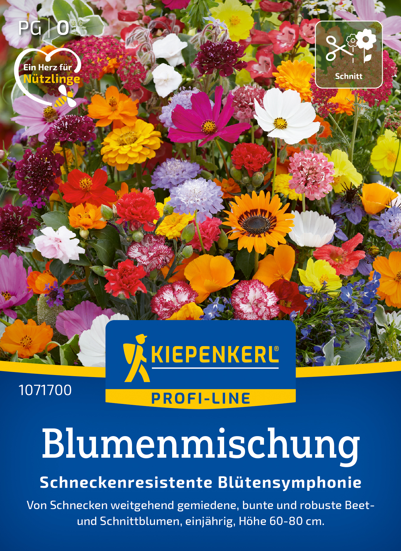 Blütensymphonie, schneckenresistent - Produktbild 1