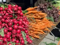 Bund frischer roter Radieschen mit Grün neben orangefarbenen Karotten auf einem Marktstand