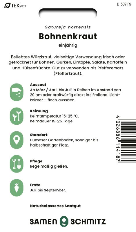 Bohnenkraut einjährig - Produktbild 2