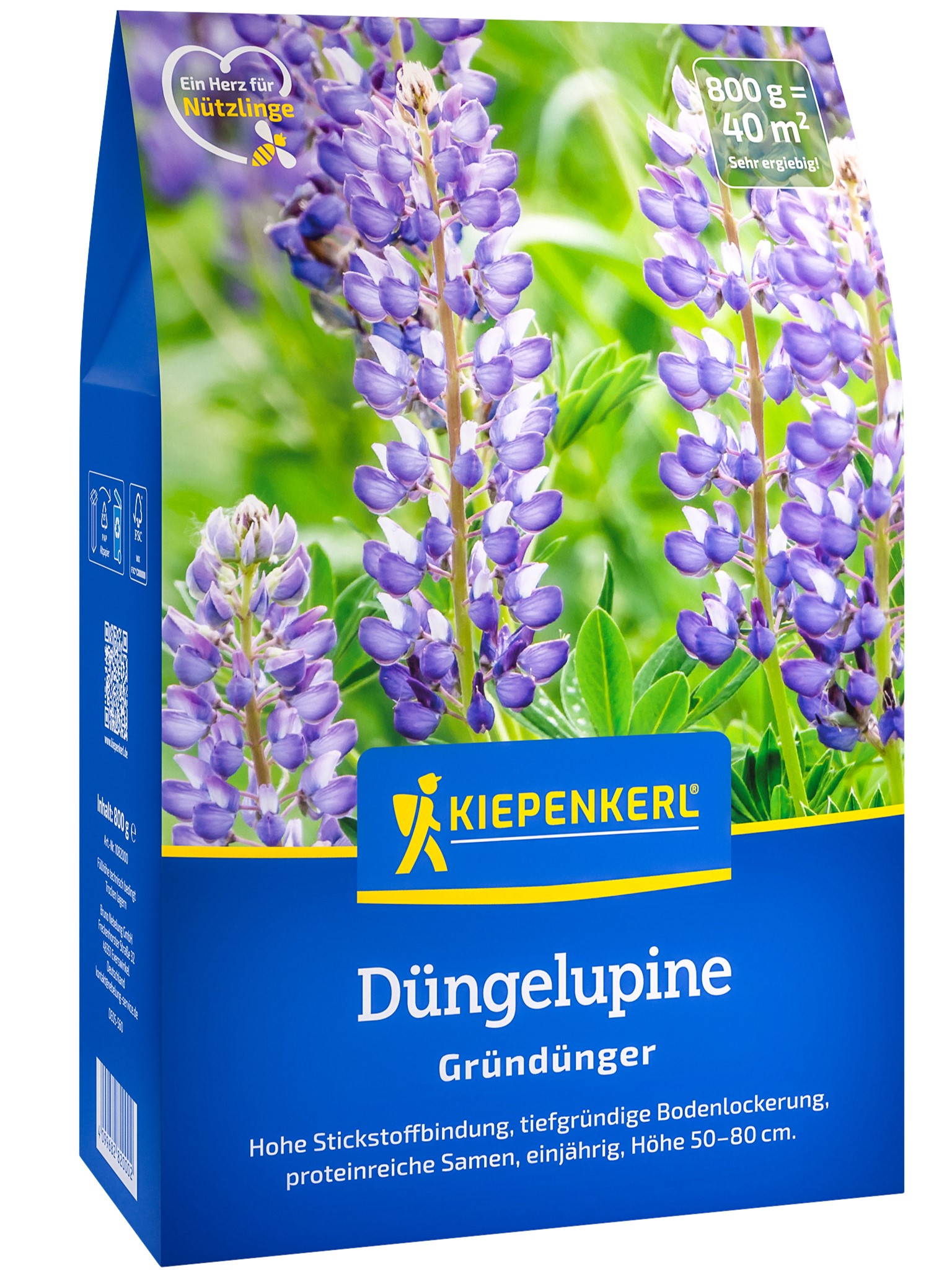 Gründüngung Bitterlupine blau