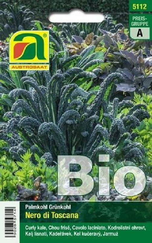Bio Palmkohl Nero di Toscana