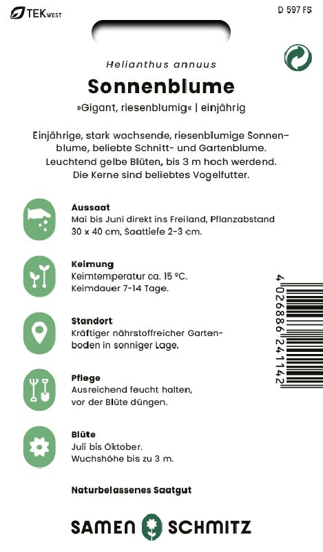 Helianthus annuus riesenblumige - Produktbild 2