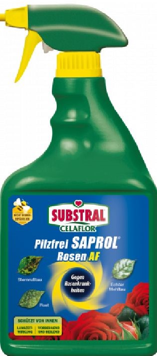 Celaflor Rosen Pilzfrei Saprol anwendungsfertig