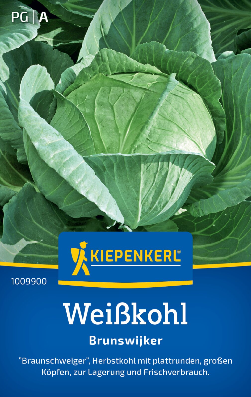 Weisskohl, Weisskraut Brunswijker