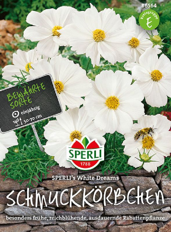 Cosmos bipinnatus Sperli's White Dreams
