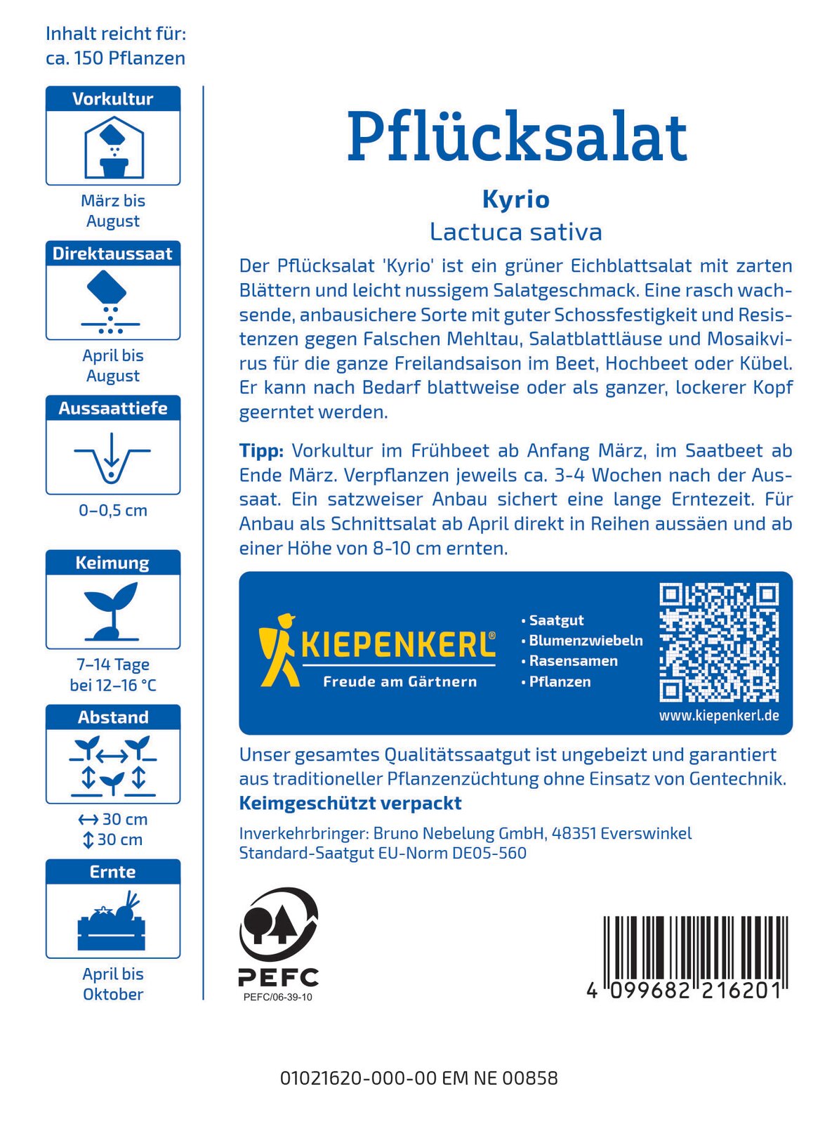 Salat Eichblatt Kyrio - Produktbild 2
