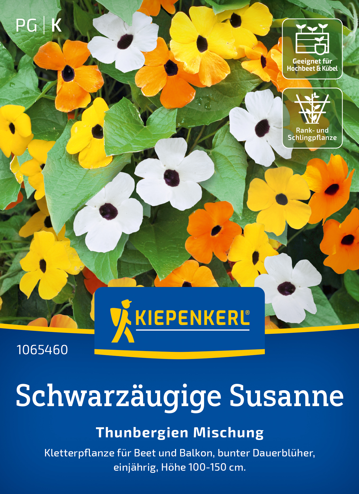 Schwarzäugige Susanne Mischung