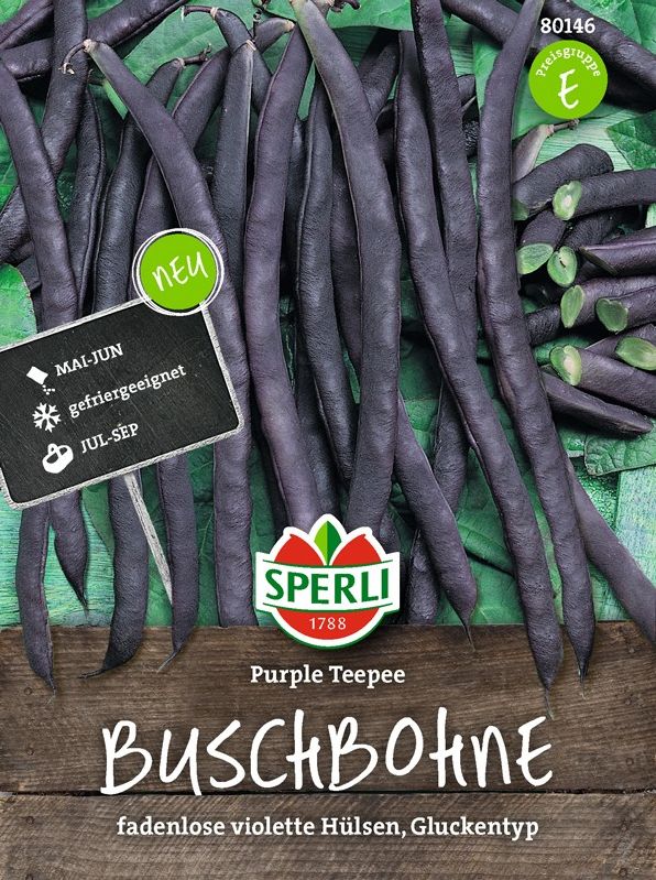 Bohne, Busch Purple Teepee