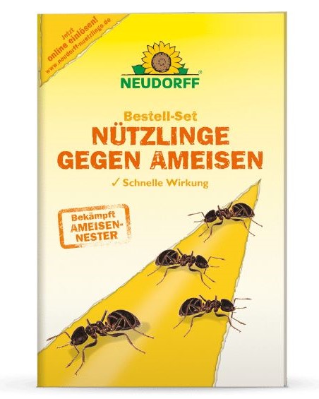 Bestell-Set gegen Ameisen Bestell