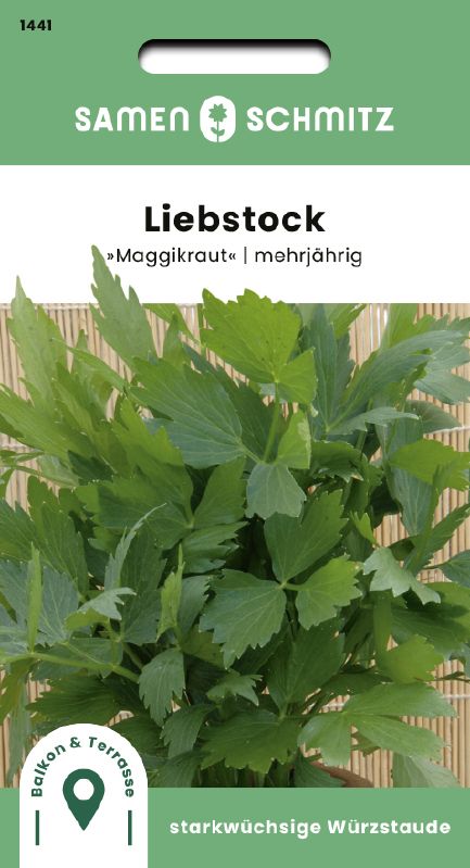 Liebstöckel, mehrjährig