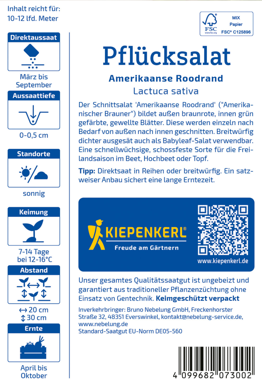 Salat Pflücksalat Amerikannse Roodrand - Produktbild 2