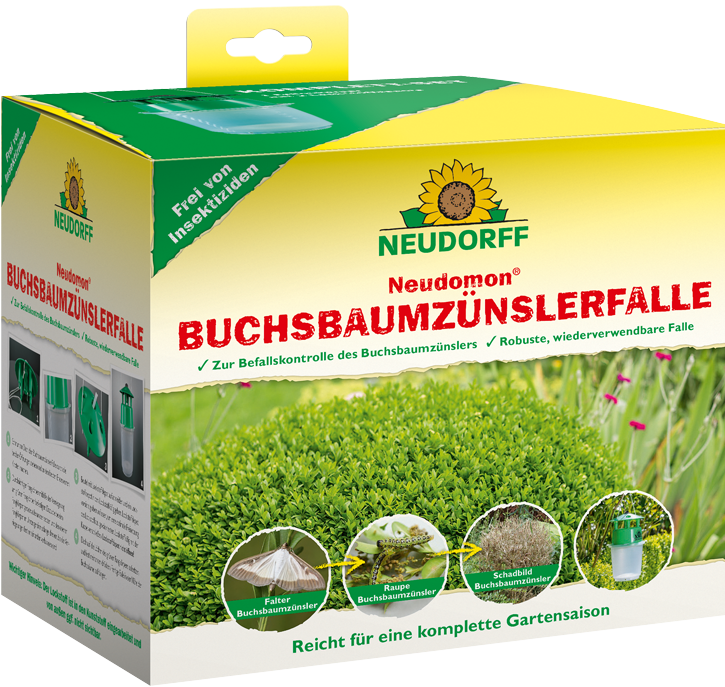 Buchsbaumzünsler Falle