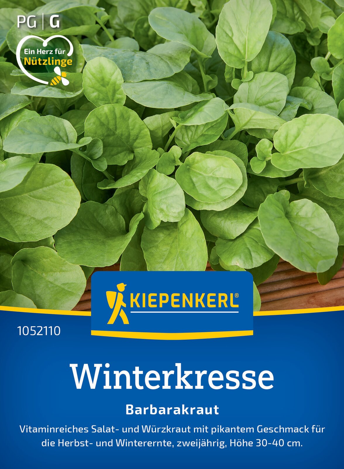 Winterkresse