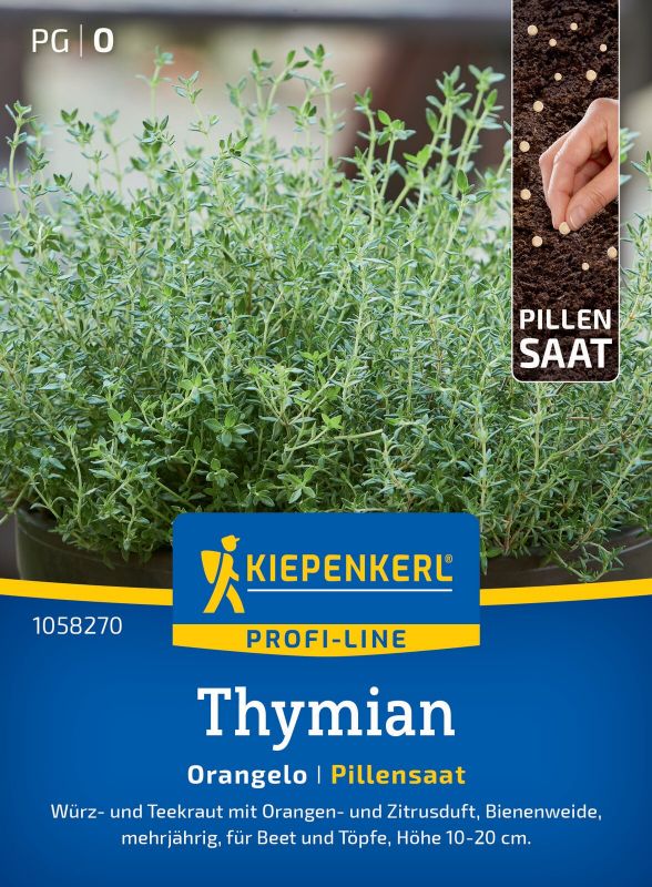 Orangen Thymian