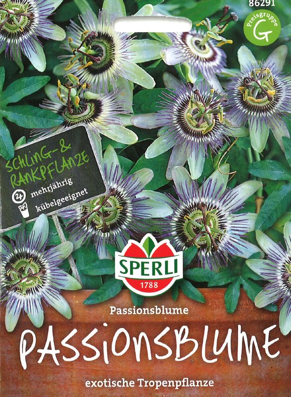 Passiflora caerulea, Passionsblume