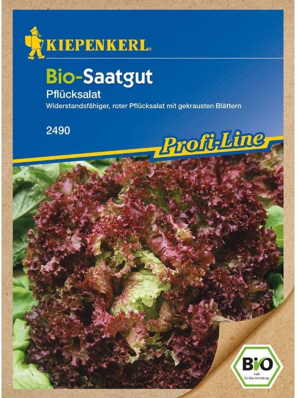 Bio Pflücksalat, rot gekraust