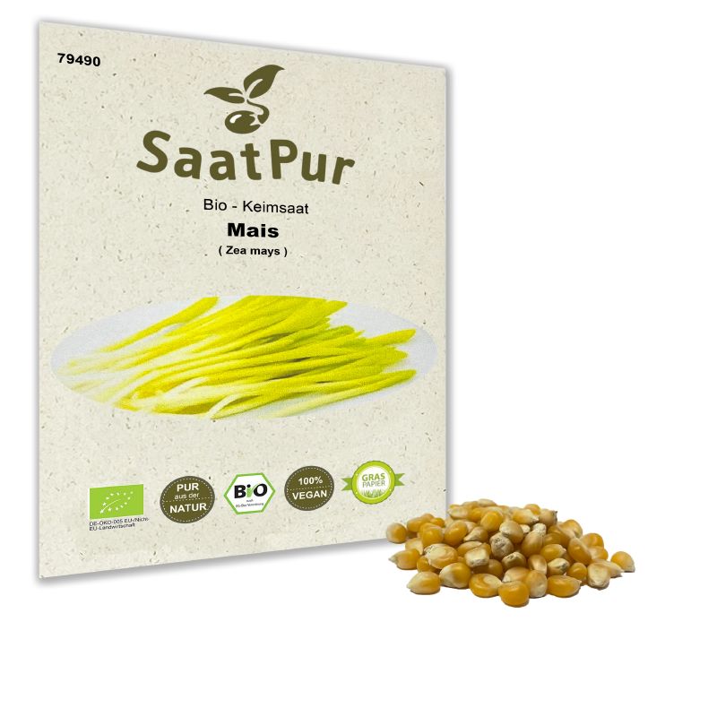 Keimsprossen Zea mays / Mais - Produktbild 3